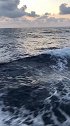 我想要什么，不想要什么，一无所知。你呢……