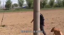 这小姐姐有两下子啊，哈哈哈！