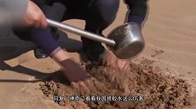 中国制造有多牛？一把伞要72道工序抗5级大风 日本看后眼红不已