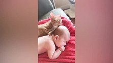 猫咪，你是不是不想让你的小主人走干嘛拉他的披风