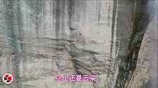 谭维维一首《天籁之爱》声音洪亮，宛如天籁