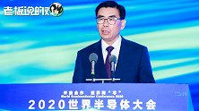 魏少军：今年进口芯片仍将超3000亿美元