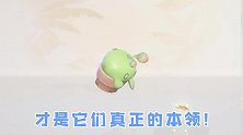 梦想新大陆：宠物能打架能养成还能骑！丰富玩法等你发掘！