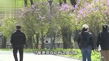 呼和浩特暴雨后医院花粉过敏患者爆满，医院：急诊人数超800人