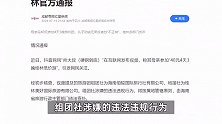 母亲花40元参加4天3晚旅游团，儿子报警仍劝说无果，桂林官方通报：已立案