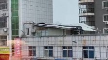 台风“米克拉”肆虐：掀翻铁皮屋顶，吹倒大树砸中行驶电动车