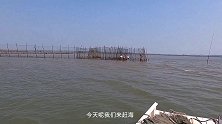 退潮后赶海，发现了笼子里的海狼鱼，不小心被它咬一口，很危险
