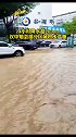 24小时降水超200mm！ 强降雨致汉中勉县部分区域积水严重