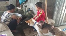 可爱的小猴骑在小狗身上帮它抓跳蚤，十分有趣