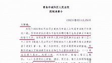 刘暖曦被发限制消费令，法院：刘暖曦未履行法律文书确定的给付义务