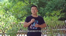 炊二锅做一份“泡椒鹅杂”开胃下饭 简单易学 一看就会