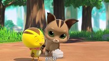 萌鸡小队：麦奇真会体贴人，可是猞猁太害羞了呢