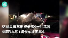 美国一公路遭风滚草侵袭，多辆汽车被埋其中