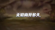 他们，承包了我的青春