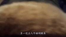 恶搞猫咪睡觉时吐舌头，主人一把拉住，下一秒忍不住笑出声！