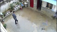 搞笑视频：铲屎官你都敢撞真是活腻了