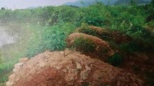 两兄弟趁着征地 伪造16座坟墓骗补6万多元