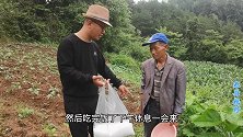 刚下完雨老杭就要去田里撒化肥，光哥也去了搞得一塌糊涂