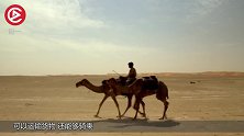 骆驼的驼峰里装的是水？专家切开驼峰后，原来我们都被骗了