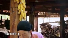 为了不吃特色菜昆虫，李承铉洪天明陈飞宇甘愿成“病友”！
