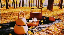 秋天陪你看落叶，冬天陪你等春天好吗？落叶深秋 一起来拍秋天 秋天 茶生活 茶具