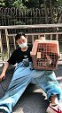 打断腿的猫咪躲进石头夹缝里历时6个小时终于救助成功，现在带去医院！#领养代替购买 #正能量 #猫咪消防员