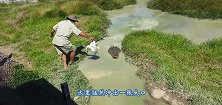 洪水退去出现庞然大物，汽车一直不敢靠前，看着有点吓人