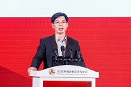 保险公司要积极探索对接金融大模型，尽快开发使用垂直领域小模型