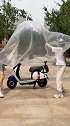 电动车一次性透明雨衣，防尘防雨，方便实用