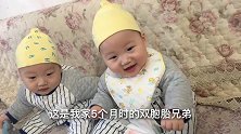 剖腹生下的第三胎双胞胎兄弟，被淘气6岁二姐，逗得哈哈大笑