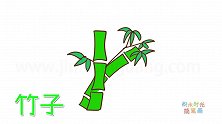 植物简笔画大全，画漂亮的竹子简笔画
