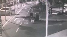 海南海口：女子小区内被狗狂追，接下来的事更让人气愤