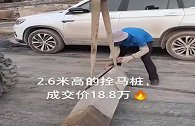 价值18万的拴马桩：黑青石材质，顶上蹲瑞兽