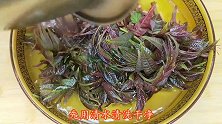 香椿芽最入味的做法，很多人第一步就做错了，难怪不好吃