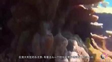 大自然也爱浪漫，大堡礁形成心形的岛