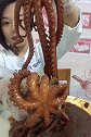 吃货吃八爪鱼，来个大长腿吧真香！