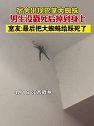 江西赣州：宿舍出现巴掌大蜘蛛，男生没戳死后掉到身上
