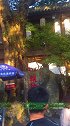 成都这座城市，有千万种方式让你爱上它！