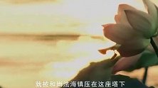 雷锋塔下真的镇压着白蛇吗？雷锋塔倒了，考古挖掘让专家大吃一惊