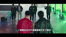 《推手》速看02集柳家破产贾乃亮瞬间“王子变青蛙”
