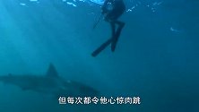 国外牛人把大白鲨，误认成汤米鲨，下秒反应难以想象