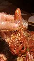 超赞的鸭头店，香辣爽口美味持久值得品尝