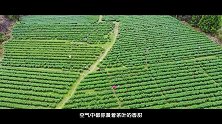 中国原生态最美山乡，美丽的安徽石台县！好山有好景，好景出好茶