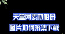 如何采集天堂图网的素材图并批量无水印保存