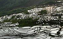 火了！福建尤溪这个地方，入选全球重要农业文化遗产