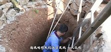 乌龟被困枯井里，密密麻麻一大片，幸亏好心男子伸出援手