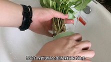 周末vlog-在城市中为果腹努力，闲时应安静下来，这才是人生
