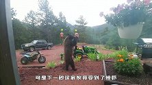 棕熊闯入后院偷鸟食，被吓跑的瞬间太可笑，网友：胆子忒小了