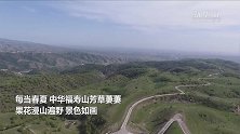 新疆霍城：层层绿染入画来