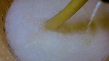 李子柒带回家几壶马奶，喊来婆婆帮忙，把马奶倒入木桶发酵